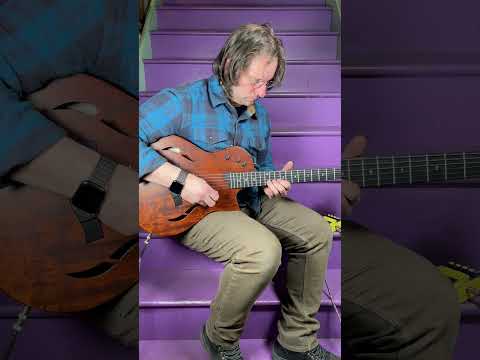 2014 Taylor T5z Classic Semihollow Acoustic/Electric Guitar (VIDEO! Fresh Work, Ready) image 19