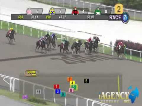 SINGAPORE RACE 15/12/2013 RACE 7 - iAgencyNet.com