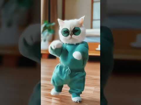 #trend #cartoon #funny#viral#viralshort#voral trnd#dancingcat#cat#cute #entertainment #ajit ghanta