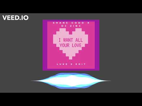 Shane Codd x DJ Zinc   I Want All Your Love Luke S Edit