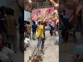 Dhoolpet Viral Dhoolpetofficial Trending Shortvideo Ganesh Ganesh Chaturthi Status Bappa 1979