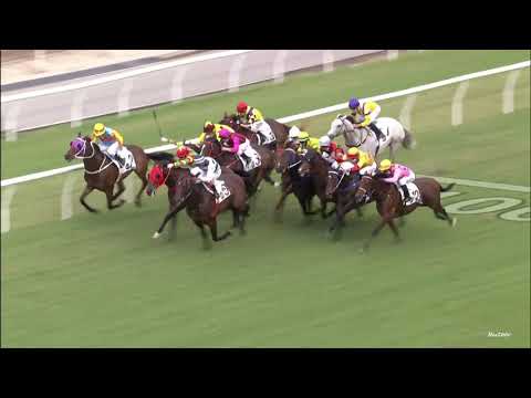 17/10/2021 (101) 勇戰神駒 (E052) 沙田錦標 田泰安