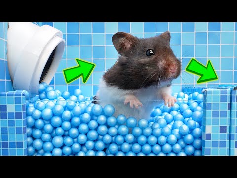 🐹Hamster Prison Escape: Epic Boss Battle