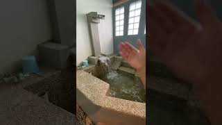 Download lagu SABDA ALAM HOTEL RESORT GARUT mp3