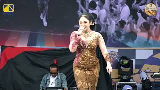 Download lagu SILVY KUMALASARI - STECU (EMGATH PAMA BEKB 2025) mp3