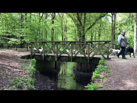 Burgemeester Rijkenspark - Santpoort Noord - Netherlands