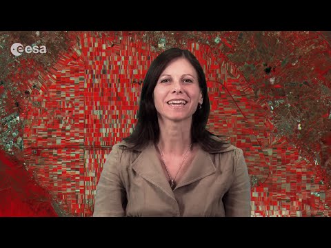 Earth from Space: Avezzano chequerboard