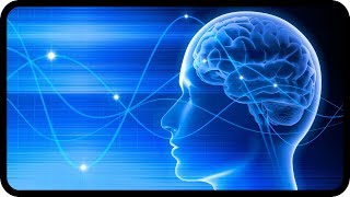 Innerer Stress durch Elektrosmog – was tun?