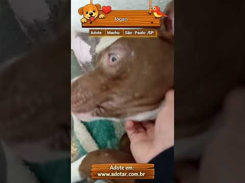 Vídeo de logan