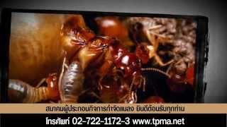 การป้องกันกำจัดปลวก