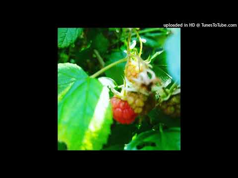 10 Crack Commandments Riddim instrumental | Notorious BIG