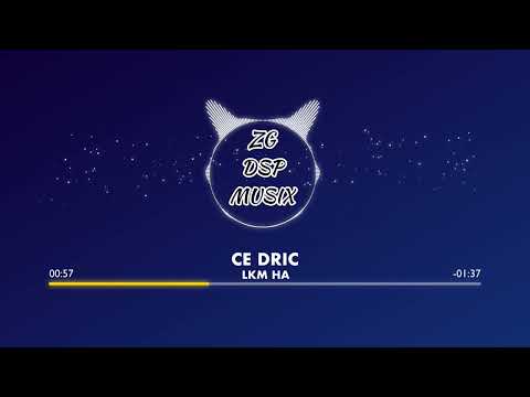 LKM HA- CEDRIC (ZG DSP MUSIX)