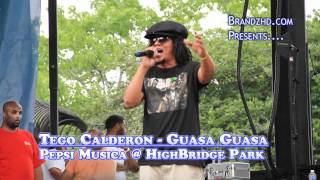 Tego Calderon guasa @ highbridge park pepsi musica
