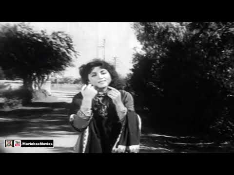 VE HAAL MERA KI PUCHNA AYE - NEELO - ZUBAIDA KHANUM - FILM SHERA