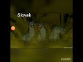 Lion King March Scene Diffrent Languages