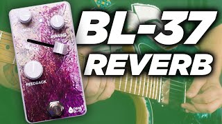 Video thumbnail for Old Blood Noise Endeavors BL-37 Reverb by Eric Merrow