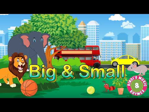 Big & Small | Preschool Concepts