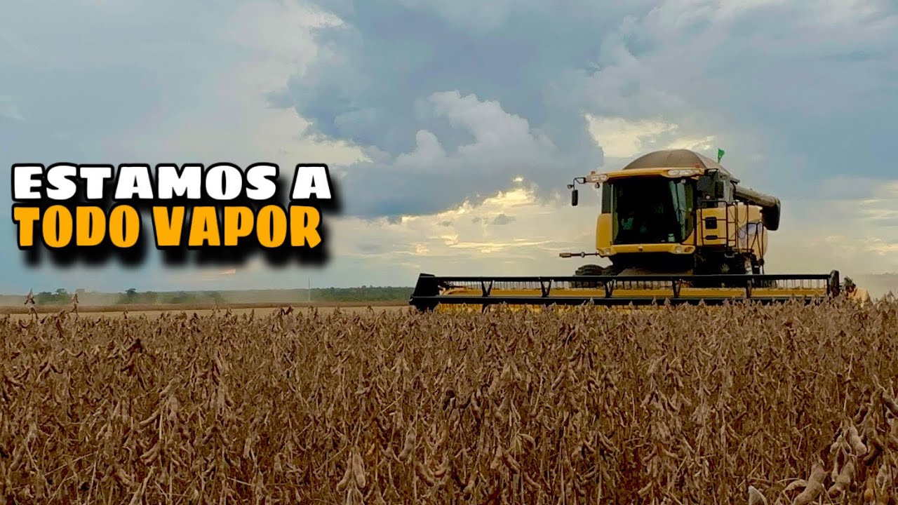 Reta Final da Colheita da Soja e Plantio a todo Vapor