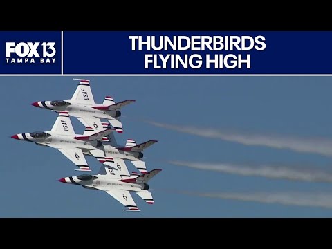 Florida Trend Video Pick - Video