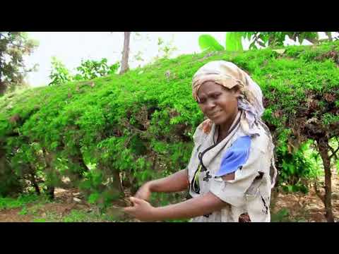 OBOGIMA IMENYETE (The life am leading)Latest song by Iyabe PMCA