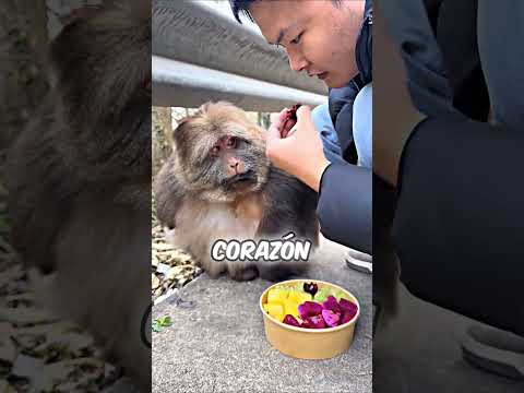 La monita más educada que verás hoy ❤️