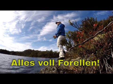 Aufgewacht an einem abgelegenem Bergsee in Norwegen.