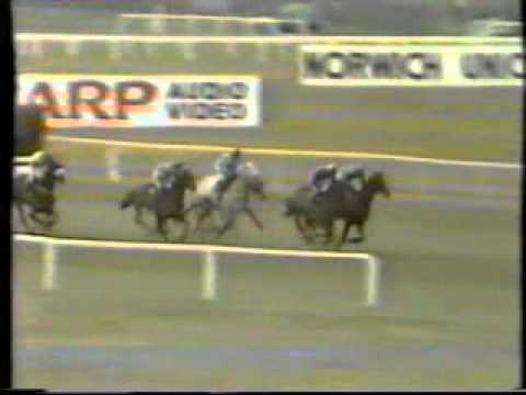 Horse Racing 1985 Topham Chase Aintree Smiths Man