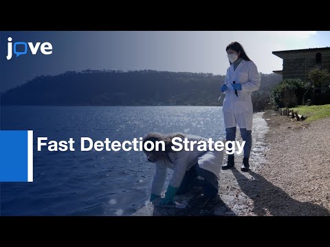 Early Detection Of Cyanobacterial Blooms & Associated Cyanotoxins l Protocol Preview