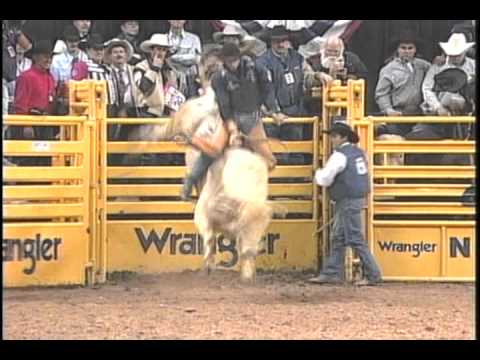 Bucking Bull Whitewall - 1999 Gregory Potter