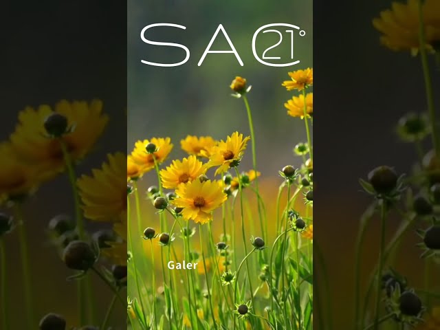 Vídeo 21º SAC Madrid.