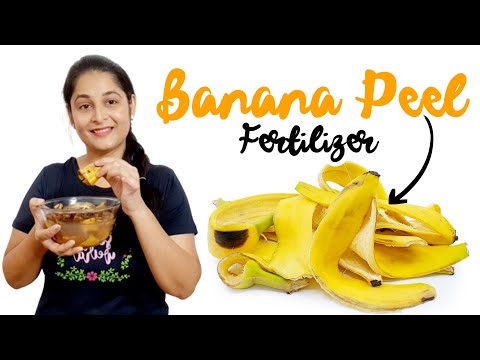 Banana Peel Fertilizer How to make Banana Peel Fertilizer केले के छिलके की खाद  #fertilizer #plants