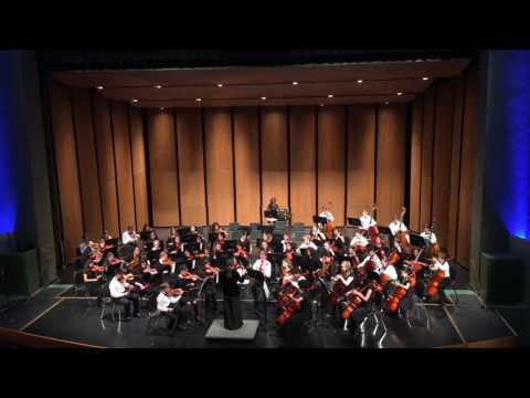 JAMS Chamber Orchestra - Spring 2017 performance of Ear-igami by Richard Meyer