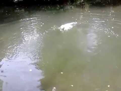 Wolke in der Wakenitz