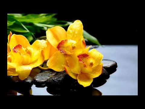 Spring Waltz (Mariage d'Amour) - Chopin - 10 Hours Extended Version