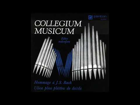 Collegium Musicum - Hommage à J.S. Bach