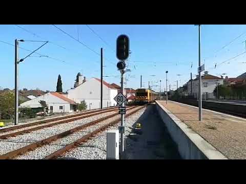 Comboios na estação da Lamarosa