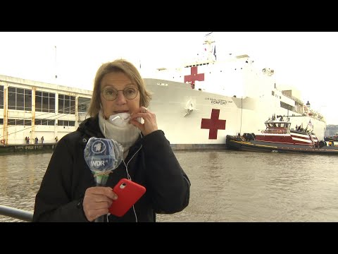 Corona-Tagebuch (1): Mein New York mit Corona