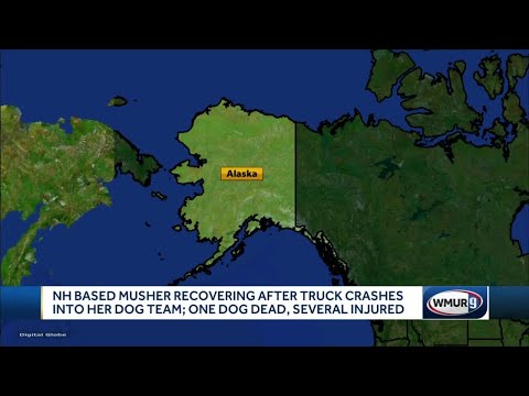 Musher from New Hampshire recovering after truck crashes into dog sled team
