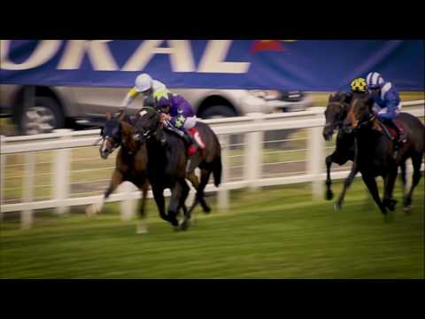 2017 Coral-Eclipse Day Highlights