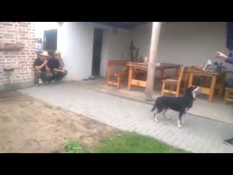 Kdo neskáče neni Čert