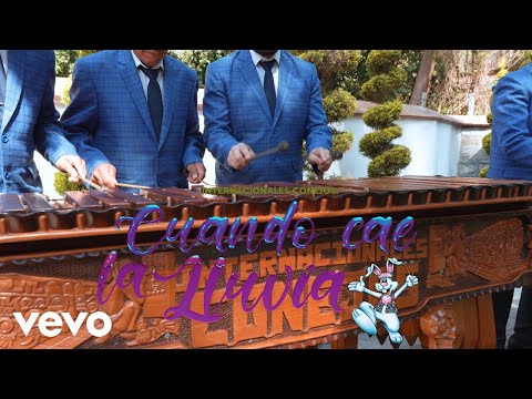 Internacionales Conejos - Cuando Cae la Lluvia