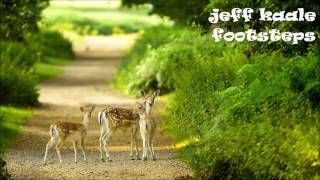 jeff kaale - footsteps