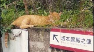 【決定的瞬間】見ると忘れられない 見たこと無いちょっぴり衝撃的なすごいタイミングを捉えた写真。不運なタイミングに思わず！？ 【衝撃】見ると忘れられない 見たこと無い衝撃的なすごい写