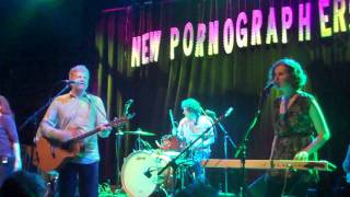 The New Pornographers - Crash Years