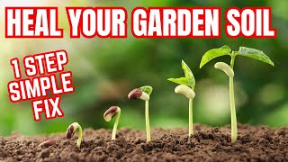 Fighting Poor Soil? Try This SIMPLE Fix!