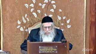 הרה"ג הרב וועכטר שליט"א ח' שבט תשפ"ה - מאמר הרבי הריי"צ ד"ה היושבת בגנים חלק א (הרב אברהם מנחם מענדל וכטר) - התמונה מוצגת ישירות מתוך אתר האינטרנט יוטיוב. זכויות היוצרים בתמונה שייכות ליוצרה. קישור קרדיט למקור התוכן נמצא בתוך דף הסרטון