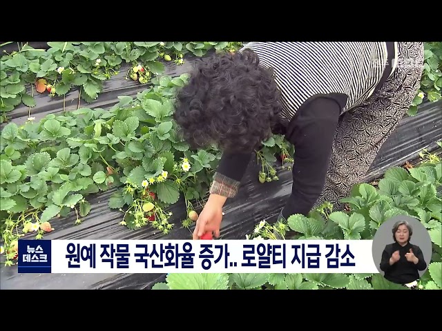 원예작물 국산화율 증가 로열티 지급액 감소