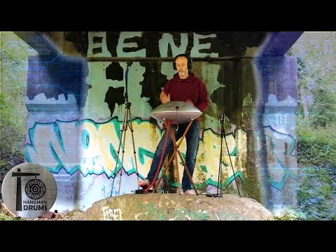 "the algorithm" LIVE handpan by SONIC:HMD feat. Lex Fridman & Elon Musk