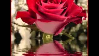 Johnny Tillotson-Let It Be Me.wmv