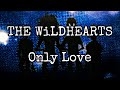 THE WiLDHEARTS - Only Love (Lyric Video)